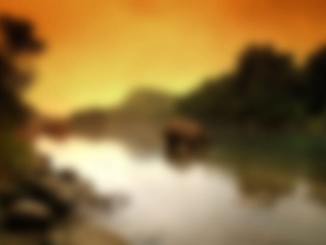 Loi et bonnes pratiques : annonces, réductions, avis en ligne