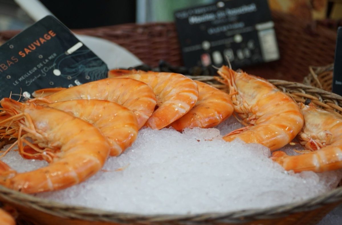 Choisir un mixeur plongeant pour la cuisine quotidienne