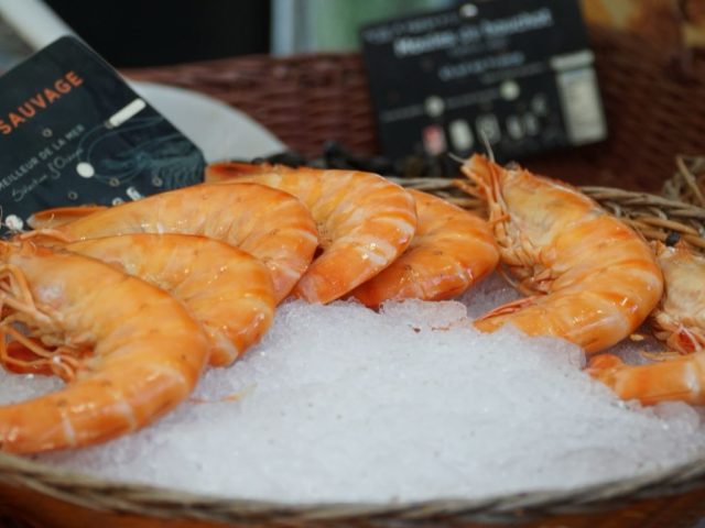 Choisir un mixeur plongeant pour la cuisine quotidienne