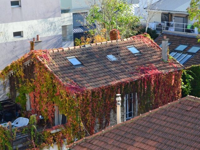 Appareils domestiques pour réduire la facture d’électricité